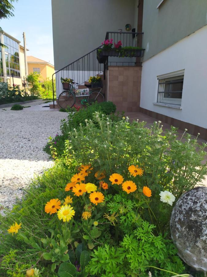 Casa Vacanze I Giardini Di Marzo San Giorgio di Mantova Extérieur photo